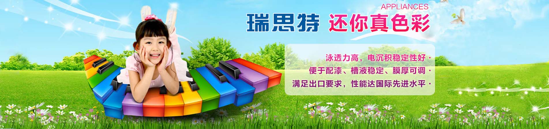 瑞思特電泳漆